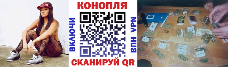 Где продают наркотики Тарко-Сале Гашиш  omg зеркало  СОЛЬ  Мефедрон  Каннабис 